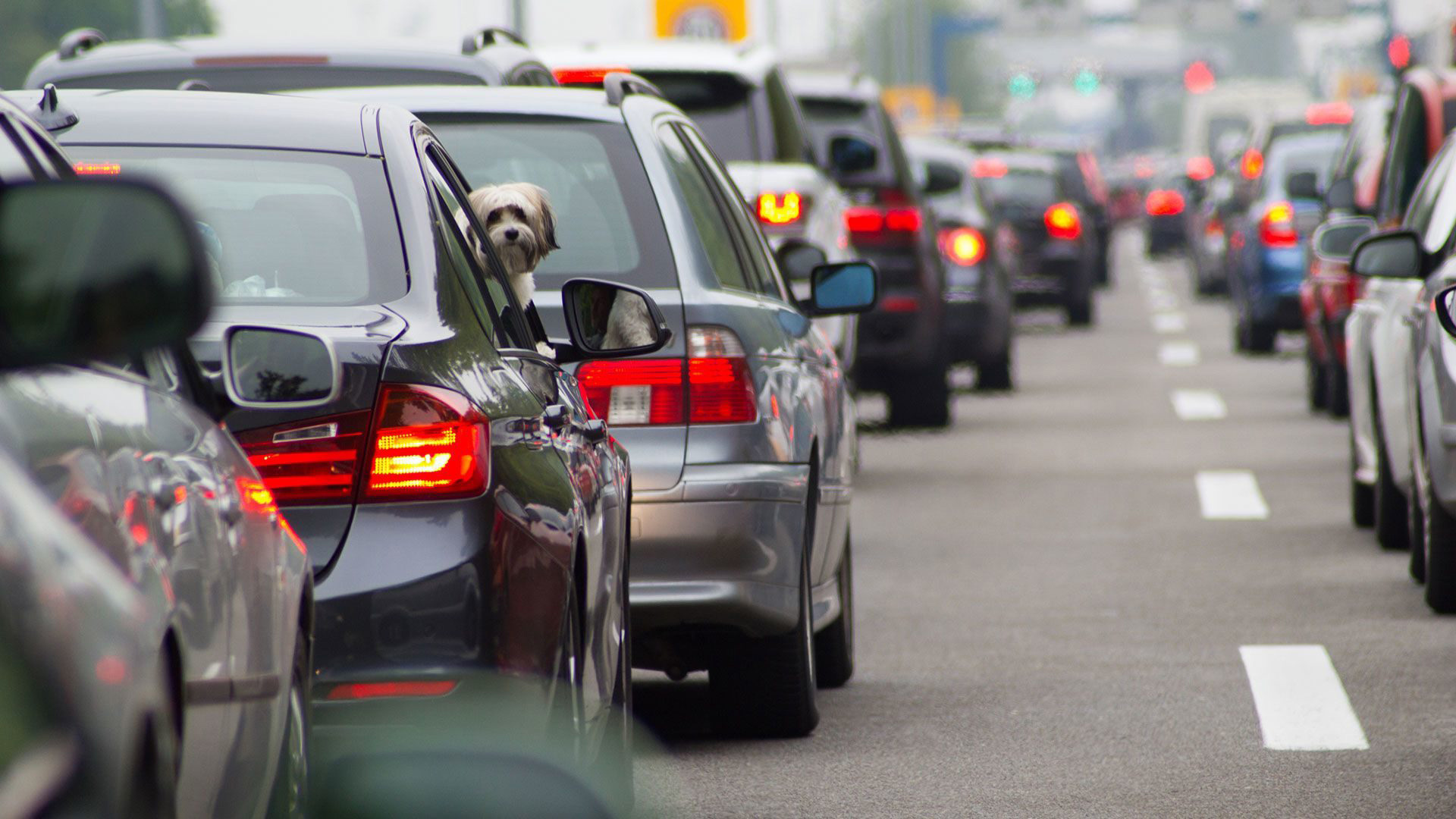 Con que documentación obligatoria tenés que circular